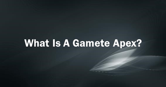 What Is A Gamete Apex